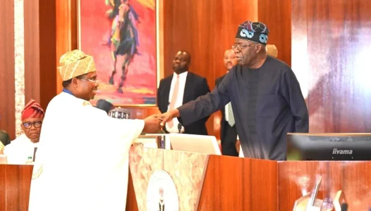Tinubu to New INEC Chair: Anambra Election is Your Litmus Test