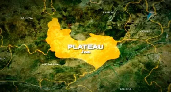"Bandits Molesting Our Women" – Plateau Youth Leader's Alarming Report
