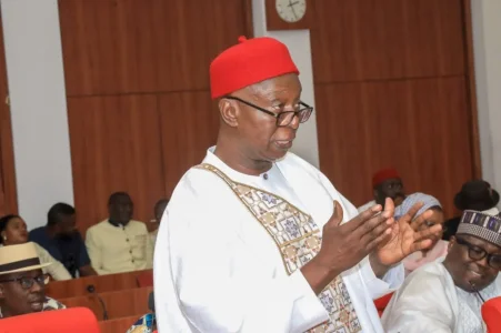 Ned Nwoko Proposes Two-Point Peace Plan for South-East: State Creation and Kanu's Release