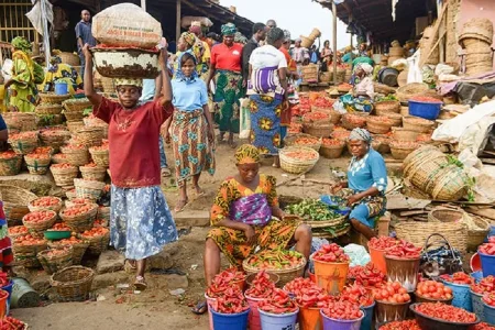 Farmers Dispute Federal Government's Narrative on Food Price Drop