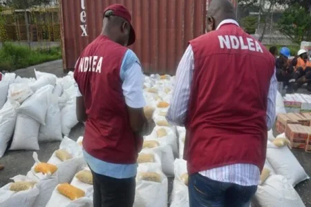 NDLEA Issues Stern Warning to Club Owners Over Illegal 'Drug Parties'