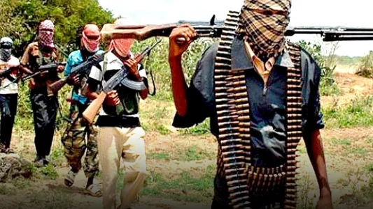 Over 100 Dead as Boko Haram and ISWAP Fight for Control in Borno