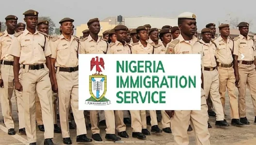 "Japa" Dreams Dashed as Immigration Blocks 294 Nigerians at Border