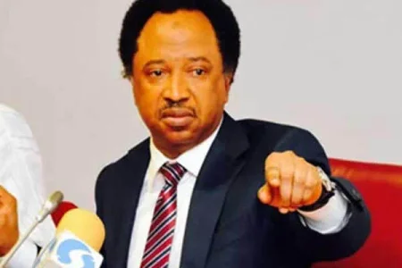 Shehu Sani Condemns Nicki Minaj's UN Speech on Nigeria as "Lies"