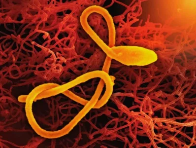 DR Congo Declares End to Its 16th Ebola Outbreak After Containing 64 Cases