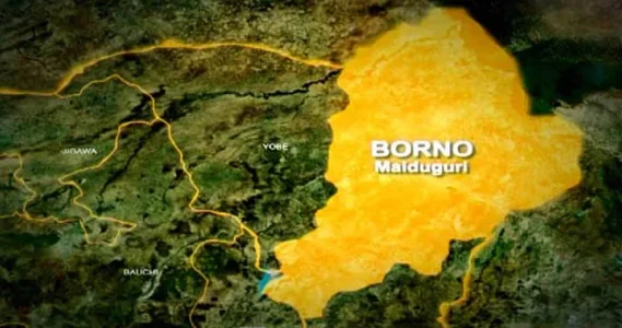 Nigerian Air Force Airstrikes Kill Civilians in Borno Hours After Pledging Civilian Safety