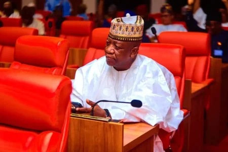 "The North Will Pay Tinubu Back in 2027," Asserts Senator Yari