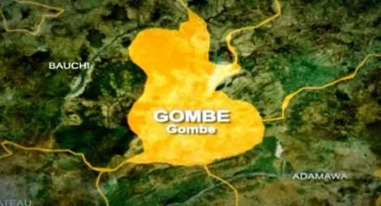 Seven Journalists Killed in Gombe Auto Crash, Four Injured