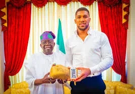 President Tinubu Speaks with Injured Anthony Joshua Following Fatal Accident