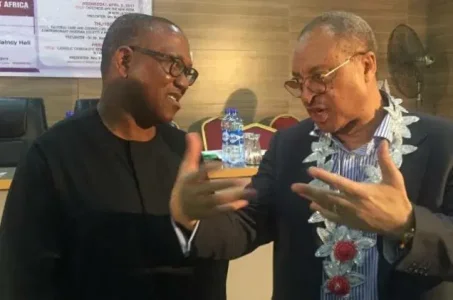 Utomi Draws Line: "I Will Leave Peter Obi’s Corner If He Becomes VP"