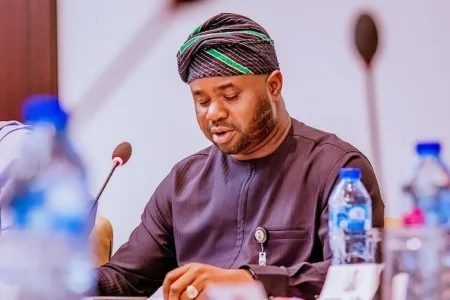 NRS Chairman Adedeji Alerts Security Over Rumoured Protests Against New Tax Laws