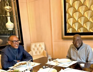 Presidency Clarifies AI Role in Tinubu-Kagame Meeting Image