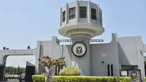 University of Ibadan Graduate's German Degree Post Sparks Job Offers, Celebratory Wave