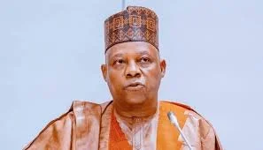 2027: Debate Over Shettima's Role Divides APC Amidst Succession Whispers