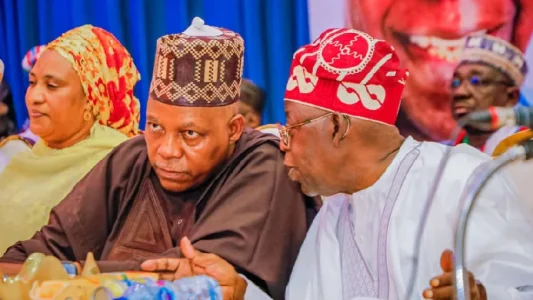 Covert Intelligence Operation Foiled Plot to Assassinate Tinubu, Shettima, Akpabio