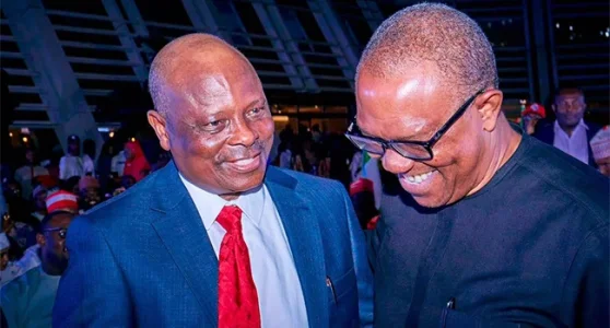 Uncertainty Over Peter Obi's Ticket Stalls Kwankwaso's Planned Defection to ADC
