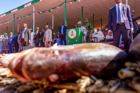Tinubu Excited as Over 50,000 Fishermen Participate in Argungu Festival