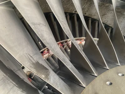 'One Bird Strike Too Many' - United Nigeria Suffers Fourth Incident Since January