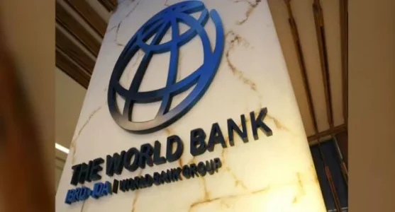 Nigeria's Debt to World Bank's IDA Surges to $18.7bn, Ranks 3rd Largest Borrower
