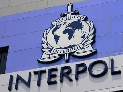 Interpol Busts $45m Cyber Scam Network in Nigeria, 15 African Countries; 651 Suspects Arrested