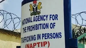NAPTIP Rescues 184 Trafficking Victims in Plateau, Including Three Pregnant Women
