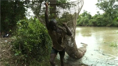 fishing net.webp fishing net.webp