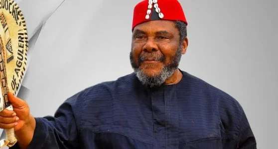 Pete Edochie Claims Six Politicians Won 2023 Elections After Seeking His Prayers