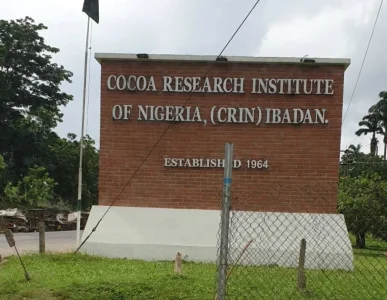 Remaining Two Cocoa Farmers Abducted at CRIN Regain Freedom, Three Suspects Arrested