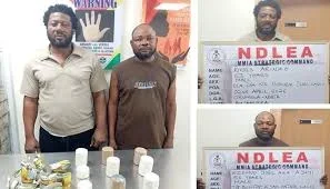 NDLEA Arrests Pastor, Wife with 11kg skunk Concealed in Vehicle at Seme border