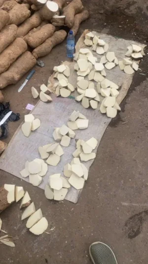 Nigerians in Shock as Viral Video Shows Yam Pieces Selling for ₦500