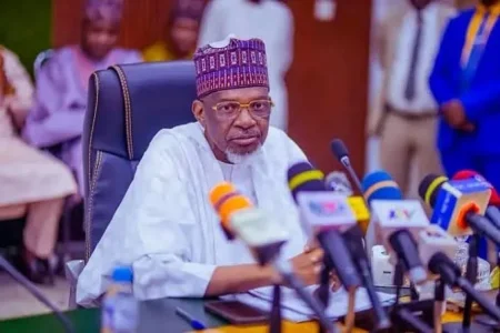 Kebbi Assembly Speaker Muhammad Usman Zuru Dies in Egypt After Illness