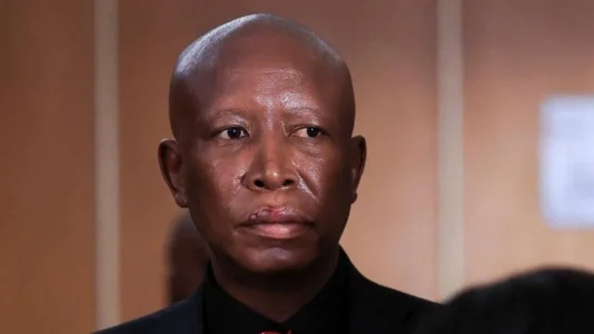 Julius Malema.webp