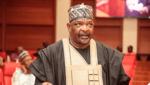 Senator Ningi Calls for Suspension of Political Activities in Eight States Over Insecurity