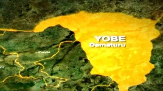 Troops Foil Attack on Yobe Community, Kill 24 Terrorists