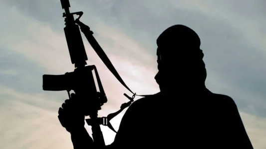 24 Killed in Bandit Attacks on Katsina Communities and Market
