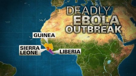 Ebola-in-West-Africa---Ebola-outbreak-graphic-jpg.jpg