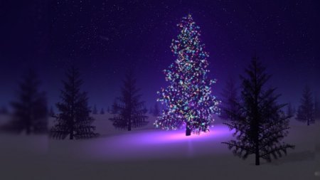 Christmas-Tree-At-Night-640x360.jpg