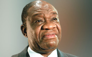 Minister-of-Power-Prof-Chinedu-Nebo-360x225.jpg