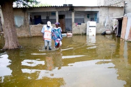 senegal flood.jpg