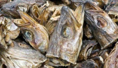 Norway Begs Nigeria to Remove Stockfish from Forex Ban List