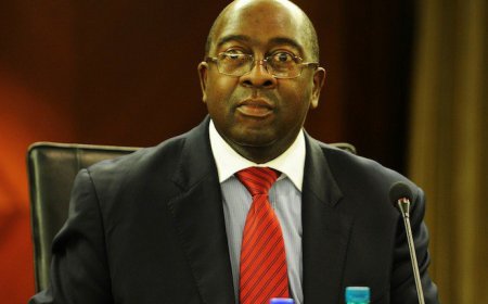 Nhlanhla-Nene-690x450.jpg