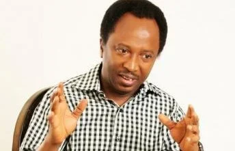 shehu sani.webp