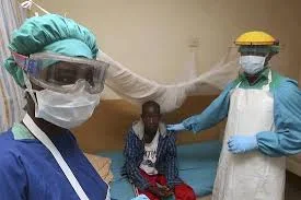 lassa fever.webp