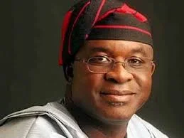 david mark.webp