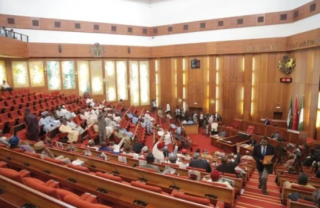 nigerian-senate-690x450.webp