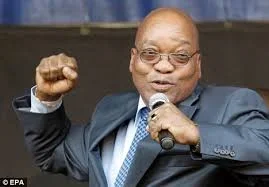 zuma.webp