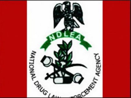 ndlea.JPG