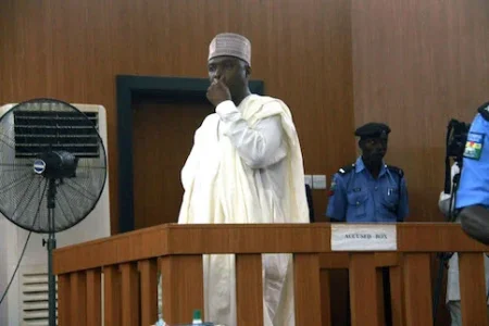 saraki dock2.webp