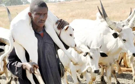 fulani man.webp