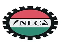 NLC.webp